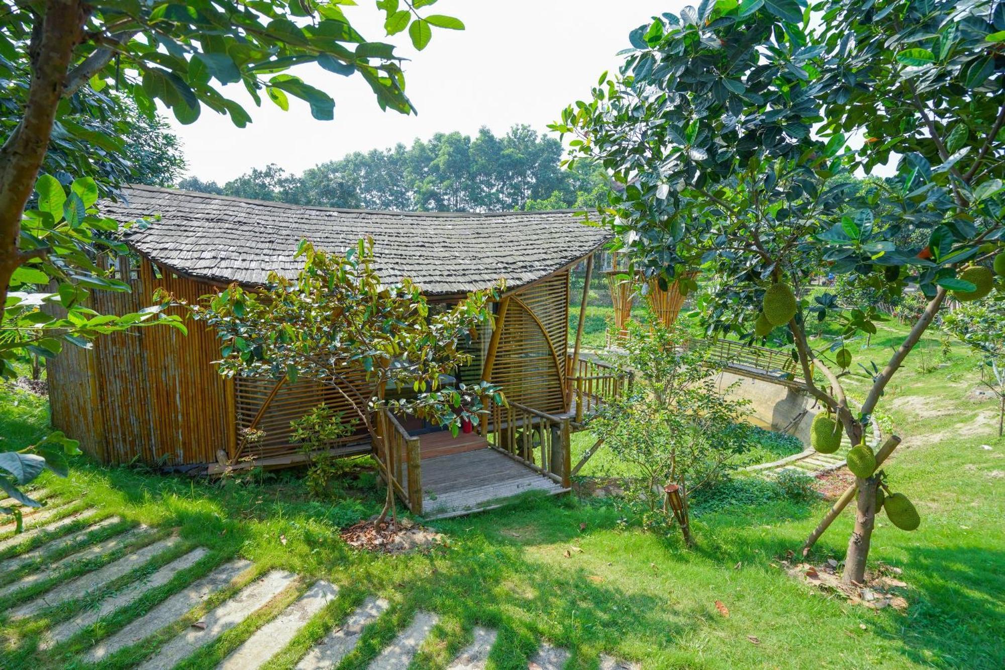 Hotel Little Bee House Trai Vang Esterno foto
